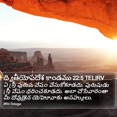 ద్వితీయోపదేశ కాండము 22:5 TELIRV Bible Verse Image