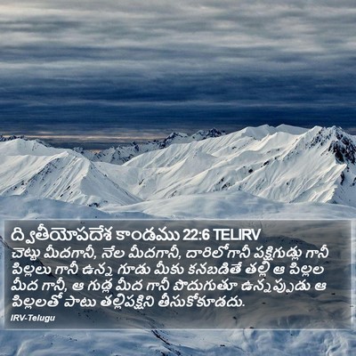 ద్వితీయోపదేశ కాండము 22:6 TELIRV Bible Verse Image