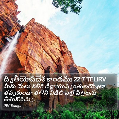 ద్వితీయోపదేశ కాండము 22:7 TELIRV Bible Verse Image