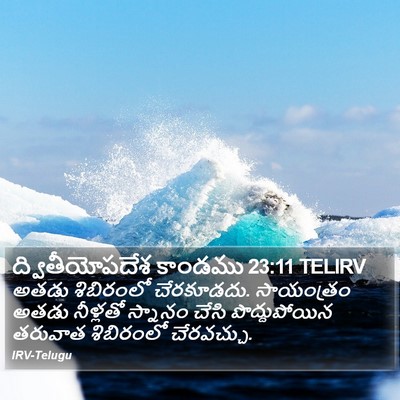 ద్వితీయోపదేశ కాండము 23:11 TELIRV Bible Verse Image