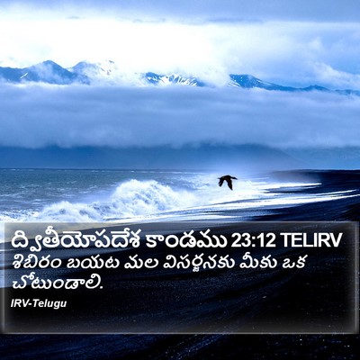 ద్వితీయోపదేశ కాండము 23:12 TELIRV Bible Verse Image