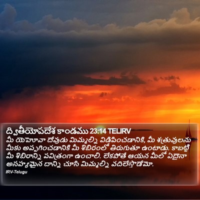 ద్వితీయోపదేశ కాండము 23:14 TELIRV Bible Verse Image