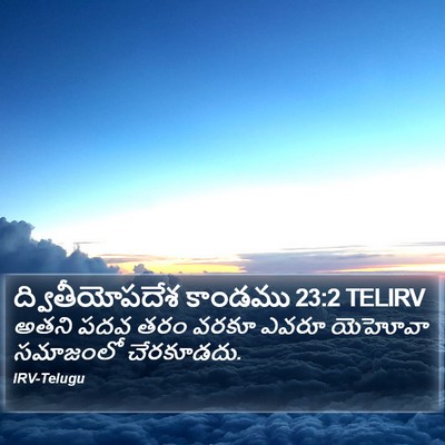 ద్వితీయోపదేశ కాండము 23:2 TELIRV Bible Verse Image