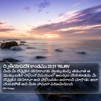 ద్వితీయోపదేశ కాండము 23:21 TELIRV Bible Verse Image