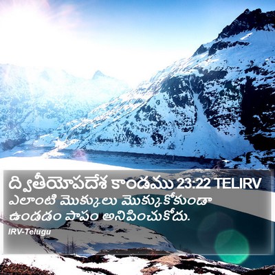 ద్వితీయోపదేశ కాండము 23:22 TELIRV Bible Verse Image