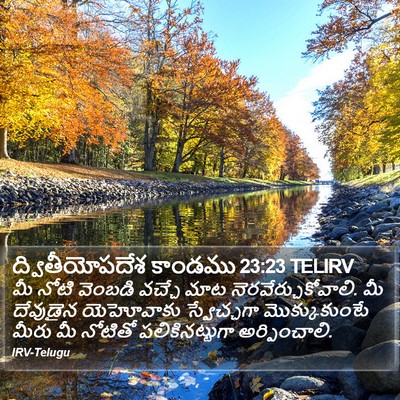ద్వితీయోపదేశ కాండము 23:23 TELIRV Bible Verse Image