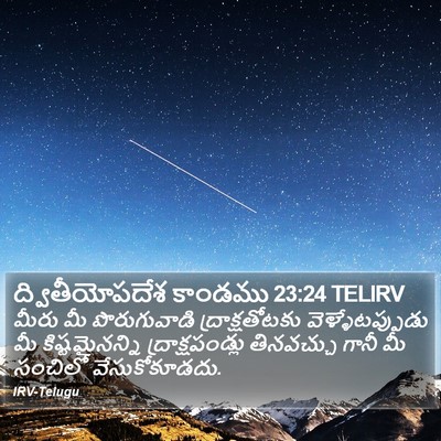 ద్వితీయోపదేశ కాండము 23:24 TELIRV Bible Verse Image