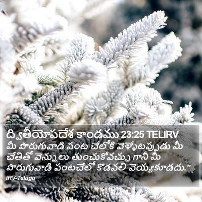 ద్వితీయోపదేశ కాండము 23:25 TELIRV Bible Verse Image