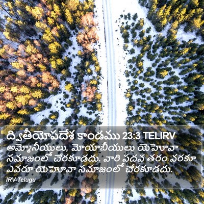ద్వితీయోపదేశ కాండము 23:3 TELIRV Bible Verse Image