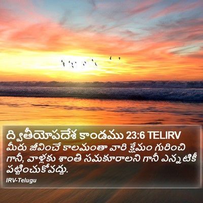 ద్వితీయోపదేశ కాండము 23:6 TELIRV Bible Verse Image