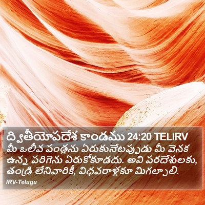 ద్వితీయోపదేశ కాండము 24:20 TELIRV Bible Verse Image