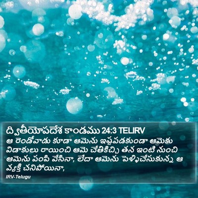 ద్వితీయోపదేశ కాండము 24:3 TELIRV Bible Verse Image