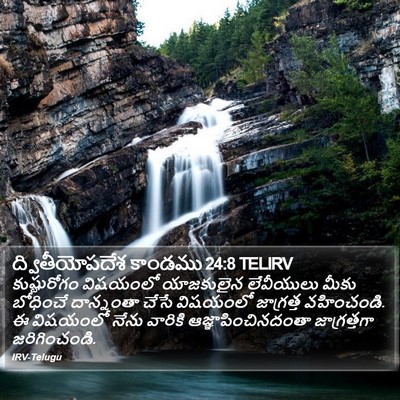 ద్వితీయోపదేశ కాండము 24:8 TELIRV Bible Verse Image