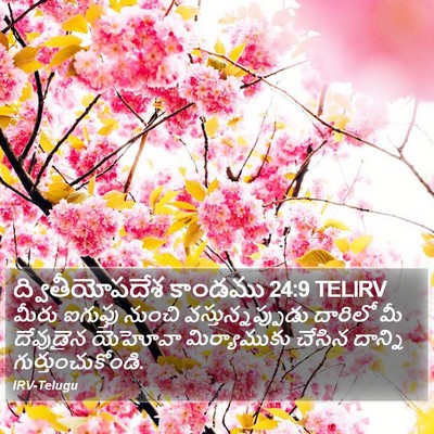 ద్వితీయోపదేశ కాండము 24:9 TELIRV Bible Verse Image