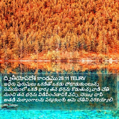 ద్వితీయోపదేశ కాండము 25:11 TELIRV Bible Verse Image