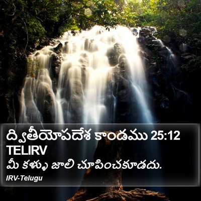 ద్వితీయోపదేశ కాండము 25:12 TELIRV Bible Verse Image