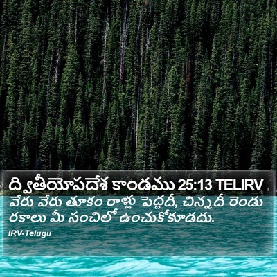 ద్వితీయోపదేశ కాండము 25:13 TELIRV Bible Verse Image