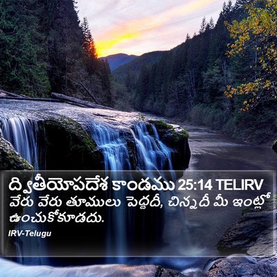 ద్వితీయోపదేశ కాండము 25:14 TELIRV Bible Verse Image
