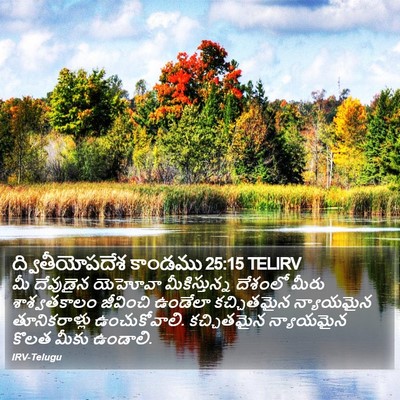 ద్వితీయోపదేశ కాండము 25:15 TELIRV Bible Verse Image