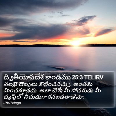 ద్వితీయోపదేశ కాండము 25:3 TELIRV Bible Verse Image