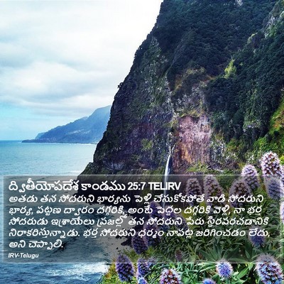 ద్వితీయోపదేశ కాండము 25:7 TELIRV Bible Verse Image