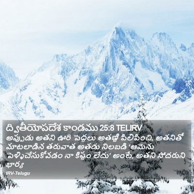 ద్వితీయోపదేశ కాండము 25:8 TELIRV Bible Verse Image