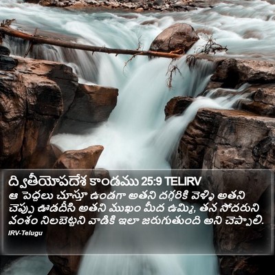 ద్వితీయోపదేశ కాండము 25:9 TELIRV Bible Verse Image