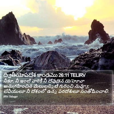 ద్వితీయోపదేశ కాండము 26:11 TELIRV Bible Verse Image
