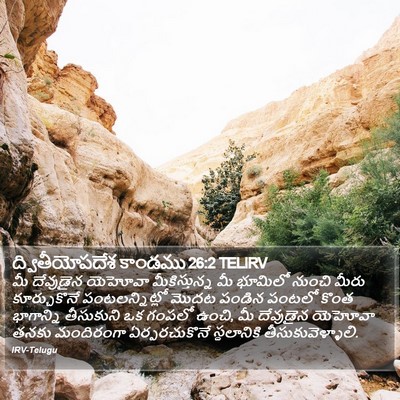 ద్వితీయోపదేశ కాండము 26:2 TELIRV Bible Verse Image