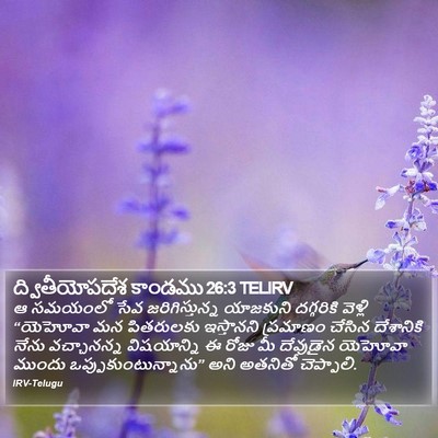 ద్వితీయోపదేశ కాండము 26:3 TELIRV Bible Verse Image