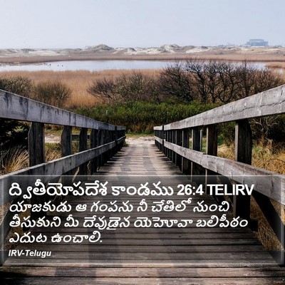 ద్వితీయోపదేశ కాండము 26:4 TELIRV Bible Verse Image