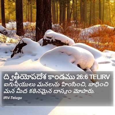 ద్వితీయోపదేశ కాండము 26:6 TELIRV Bible Verse Image