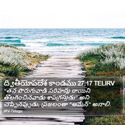 ద్వితీయోపదేశ కాండము 27:17 TELIRV Bible Verse Image