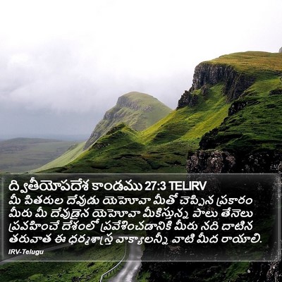 ద్వితీయోపదేశ కాండము 27:3 TELIRV Bible Verse Image