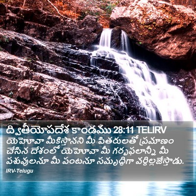 ద్వితీయోపదేశ కాండము 28:11 TELIRV Bible Verse Image
