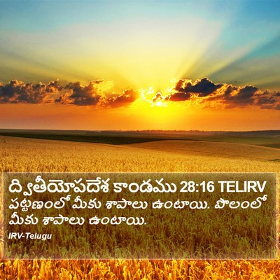 ద్వితీయోపదేశ కాండము 28:16 TELIRV Bible Verse Image