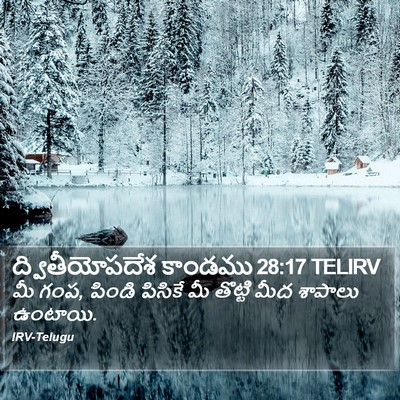 ద్వితీయోపదేశ కాండము 28:17 TELIRV Bible Verse Image