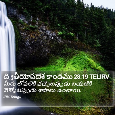 ద్వితీయోపదేశ కాండము 28:19 TELIRV Bible Verse Image
