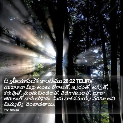 ద్వితీయోపదేశ కాండము 28:22 TELIRV Bible Verse Image