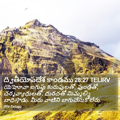ద్వితీయోపదేశ కాండము 28:27 TELIRV Bible Verse Image