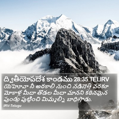 ద్వితీయోపదేశ కాండము 28:35 TELIRV Bible Verse Image