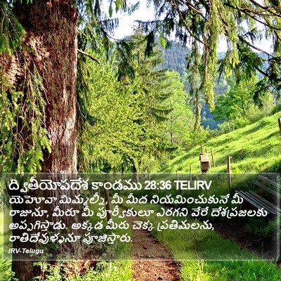 ద్వితీయోపదేశ కాండము 28:36 TELIRV Bible Verse Image