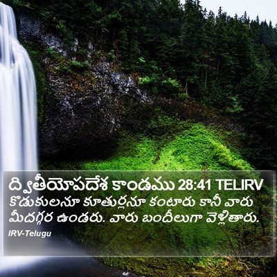 ద్వితీయోపదేశ కాండము 28:41 TELIRV Bible Verse Image