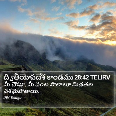 ద్వితీయోపదేశ కాండము 28:42 TELIRV Bible Verse Image