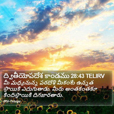 ద్వితీయోపదేశ కాండము 28:43 TELIRV Bible Verse Image