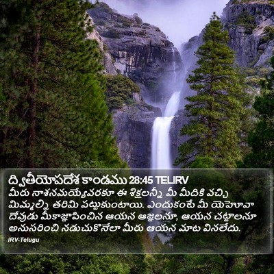 ద్వితీయోపదేశ కాండము 28:45 TELIRV Bible Verse Image