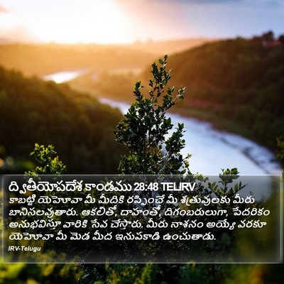 ద్వితీయోపదేశ కాండము 28:48 TELIRV Bible Verse Image