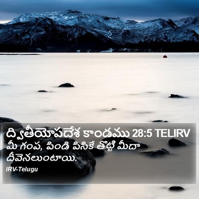 ద్వితీయోపదేశ కాండము 28:5 TELIRV Bible Verse Image