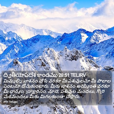 ద్వితీయోపదేశ కాండము 28:51 TELIRV Bible Verse Image