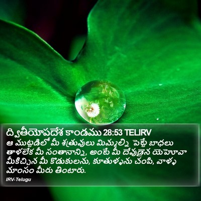 ద్వితీయోపదేశ కాండము 28:53 TELIRV Bible Verse Image
